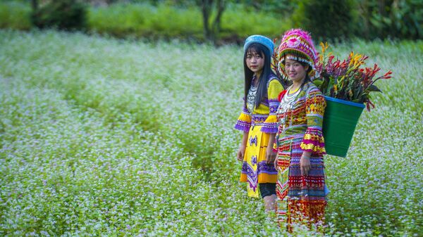 Các cô gái Hmong tại một ngôi làng gần Đồng Văn, Việt Nam - Sputnik Việt Nam
