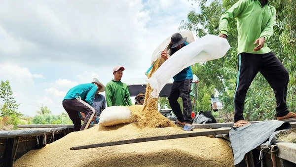 Philippines tạm ngưng nhập khẩu gạo, doanh nghiệp Việt lo tồn kho kỷ lục - Sputnik Việt Nam