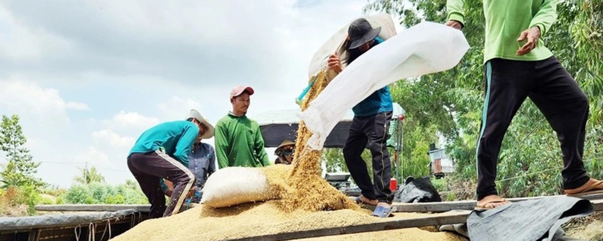 Philippines tạm ngưng nhập khẩu gạo, doanh nghiệp Việt lo tồn kho kỷ lục - Sputnik Việt Nam, 1920, 06.03.2026