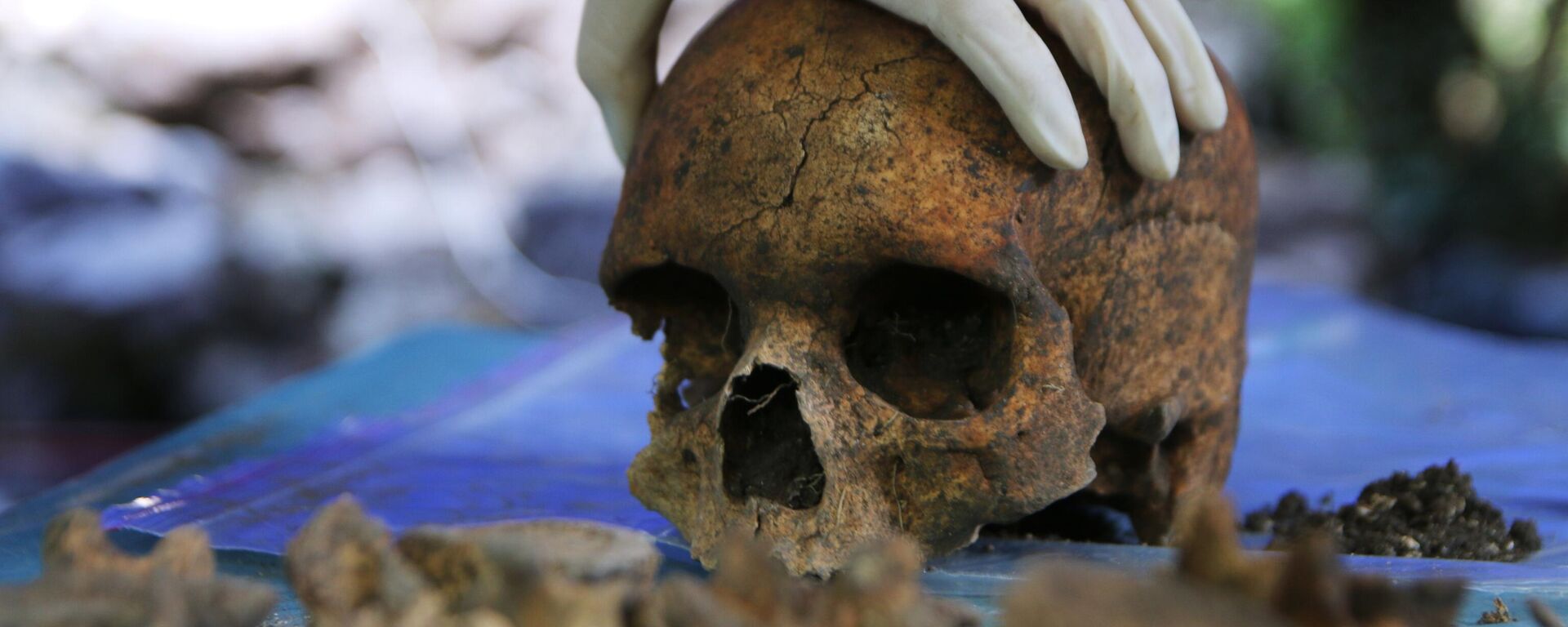 Các cuộc khai quật - Sputnik Việt Nam, 1920, 17.08.2025