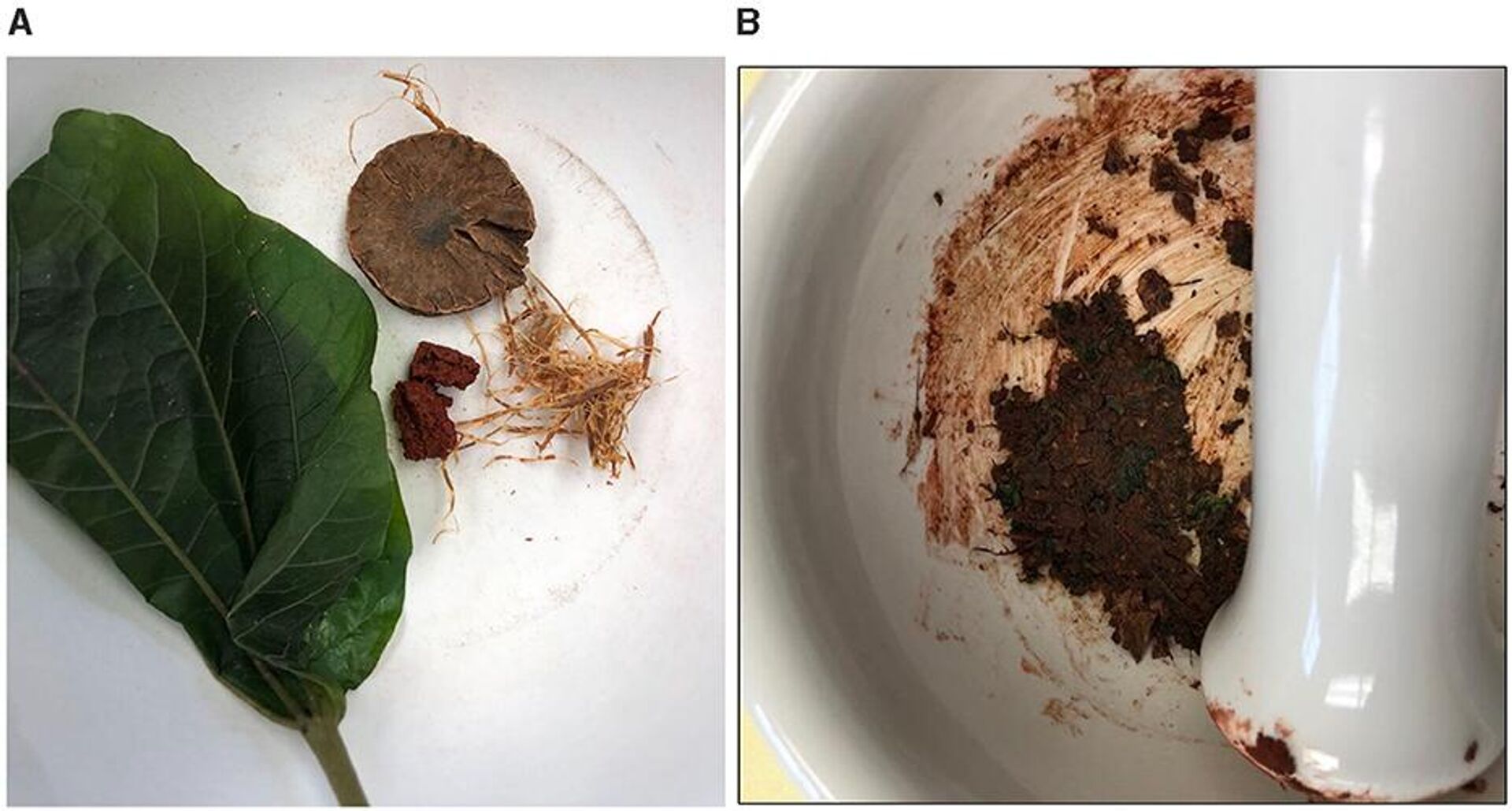 Lá trầu không, hạt cau, bột đá vôi, thuốc lá, sợi vỏ cây catechu Senegal và chất lỏng màu đỏ thu được sau khi nghiền - Sputnik Việt Nam, 1920, 11.08.2025