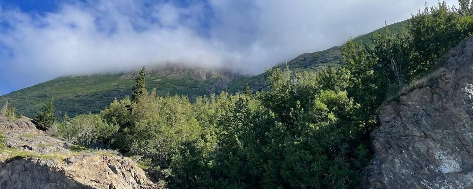 Khu vực xung quanh Anchorage, Alaska - Sputnik Việt Nam, 1920, 04.11.2025