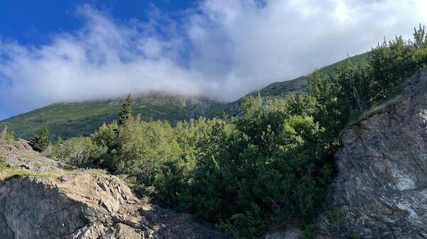 Khu vực xung quanh Anchorage, Alaska - Sputnik Việt Nam