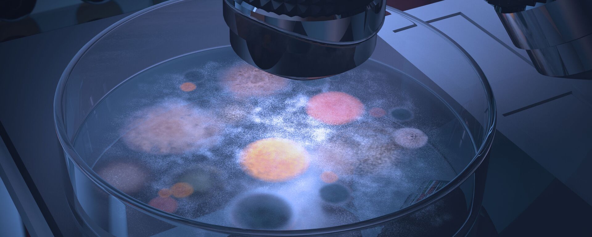 Vi khuẩn trong đĩa Petri - Sputnik Việt Nam, 1920, 19.08.2025