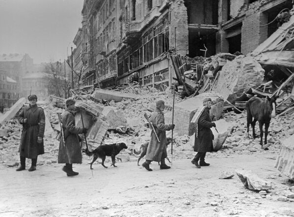 Giải phóng Hungary khỏi quân đội phát xít Đức. Các chiến sĩ công binh Liên Xô tại Budapest - Sputnik Việt Nam