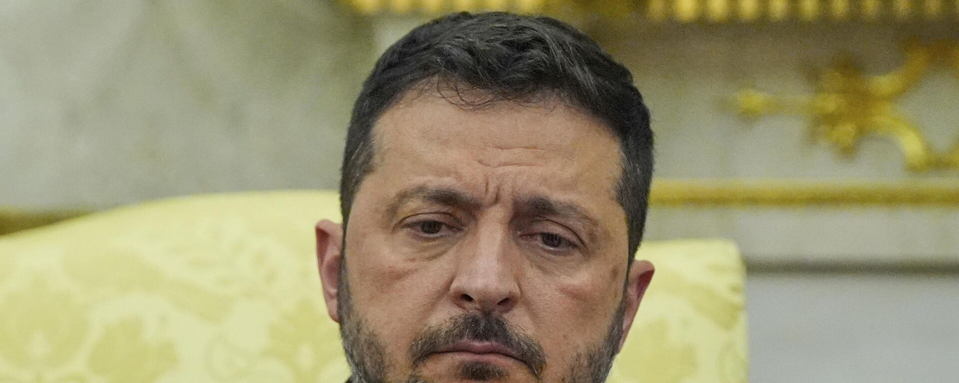 Vladimir Zelensky  - Sputnik Việt Nam, 1920, 10.11.2025