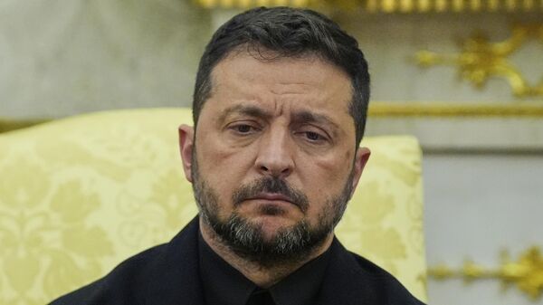 Vladimir Zelensky  - Sputnik Việt Nam