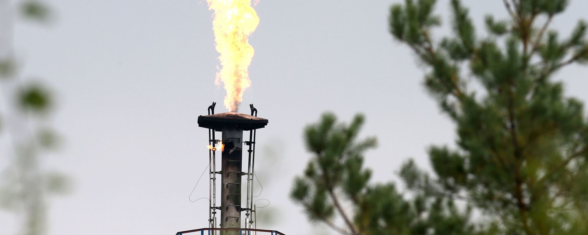 Quang cảnh một trong những đường ống của nhà máy lọc dầu Mozyr ở vùng Gomel Quang cảnh một trong những đường ống của nhà máy lọc dầu Mozyr ở vùng Gomel - Sputnik Việt Nam, 1920, 23.08.2025