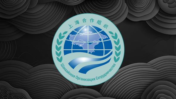 Tổng thống Nga sẽ thăm Trung Quốc và tham dự hội nghị thượng đỉnh Tổ chức Hợp tác Thượng Hải - Sputnik Việt Nam