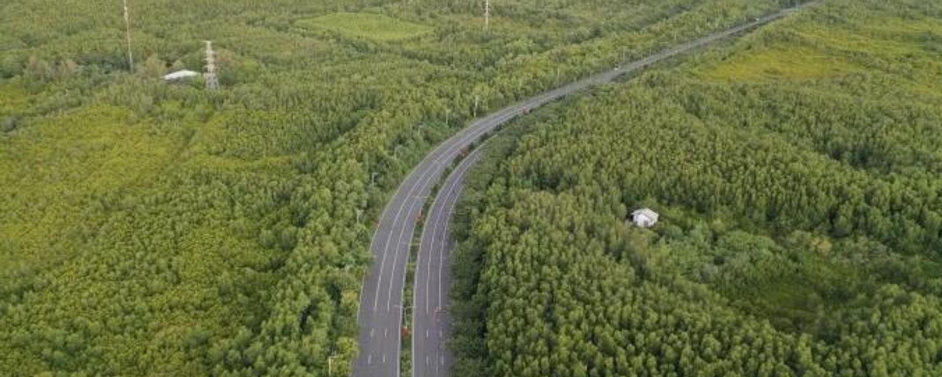 Đường Rừng Sác, huyện Cần Giờ, tháng 9/2024 - Sputnik Việt Nam, 1920, 26.08.2025