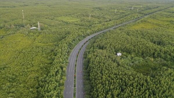 Đường Rừng Sác, huyện Cần Giờ, tháng 9/2024 - Sputnik Việt Nam