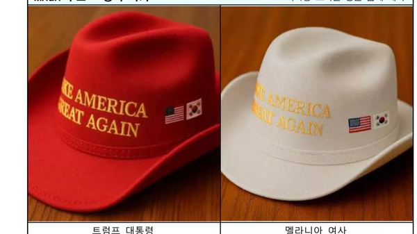 Món quà của Tổng thống Hàn Quốc Lee Jae-myung tặng Donald Trump - Sputnik Việt Nam