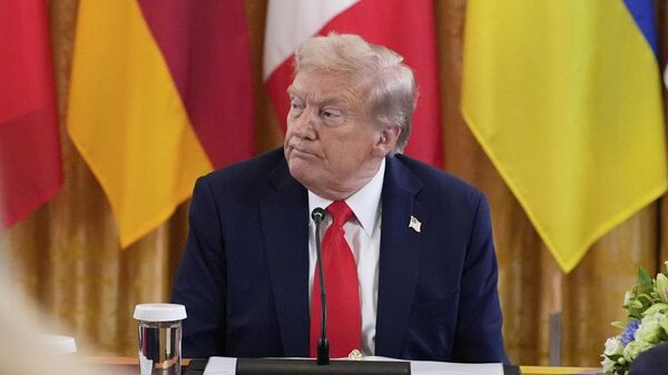 Tổng thống Hoa Kỳ Donald Trump - Sputnik Việt Nam