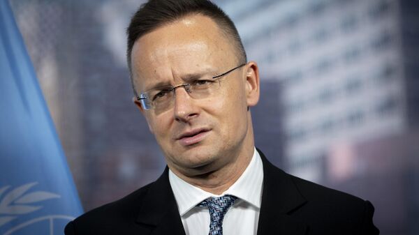 Bộ trưởng Ngoại giao Hungary Peter Szijjarto - Sputnik Việt Nam