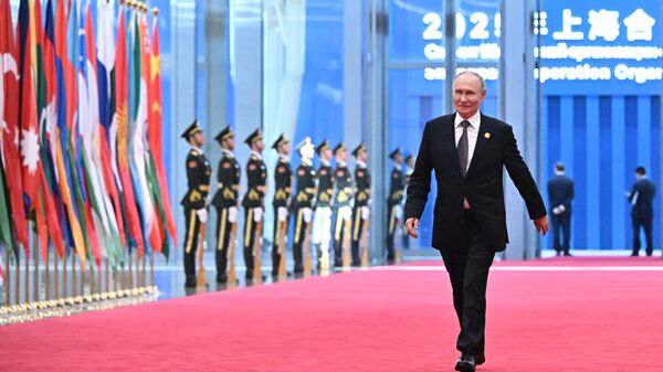 Tổng thống Nga Vladimir Putin - Sputnik Việt Nam