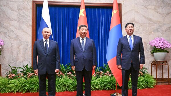 Chuyến thăm chính thức của Tổng thống Vladimir Putin tới Trung Quốc - Sputnik Việt Nam