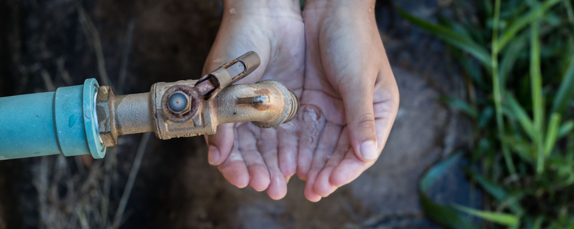 Nước - Sputnik Việt Nam, 1920, 02.09.2025