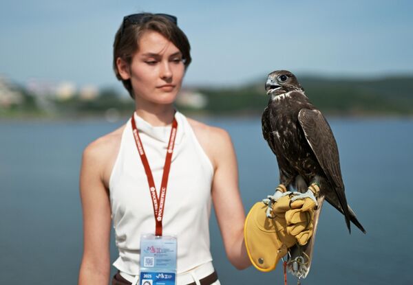 EEF-2025 Khai mạc chính thức khu nhà &quot;Ngôi nhà chim ưng&quot; - Sputnik Việt Nam