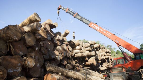 Vườn quốc gia Pù Mát (Nghệ An) - Sputnik Việt Nam