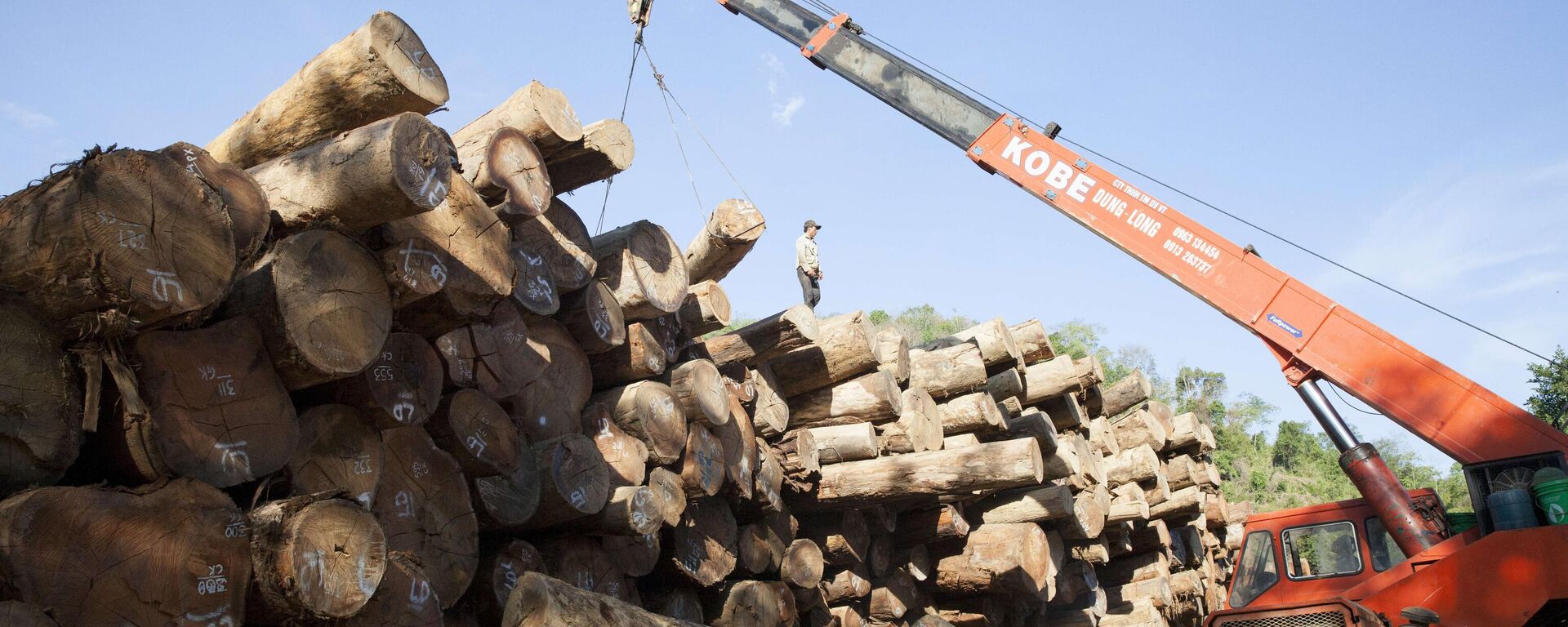 Vườn quốc gia Pù Mát (Nghệ An) - Sputnik Việt Nam, 1920, 04.09.2025