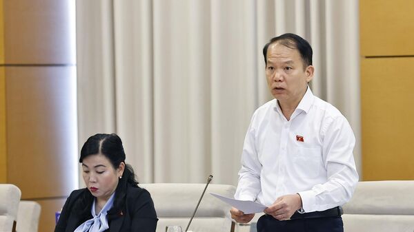 Chủ nhiệm Ủy ban Pháp luật và Tư pháp của Quốc hội Hoàng Thanh Tùng phát biểu - Sputnik Việt Nam