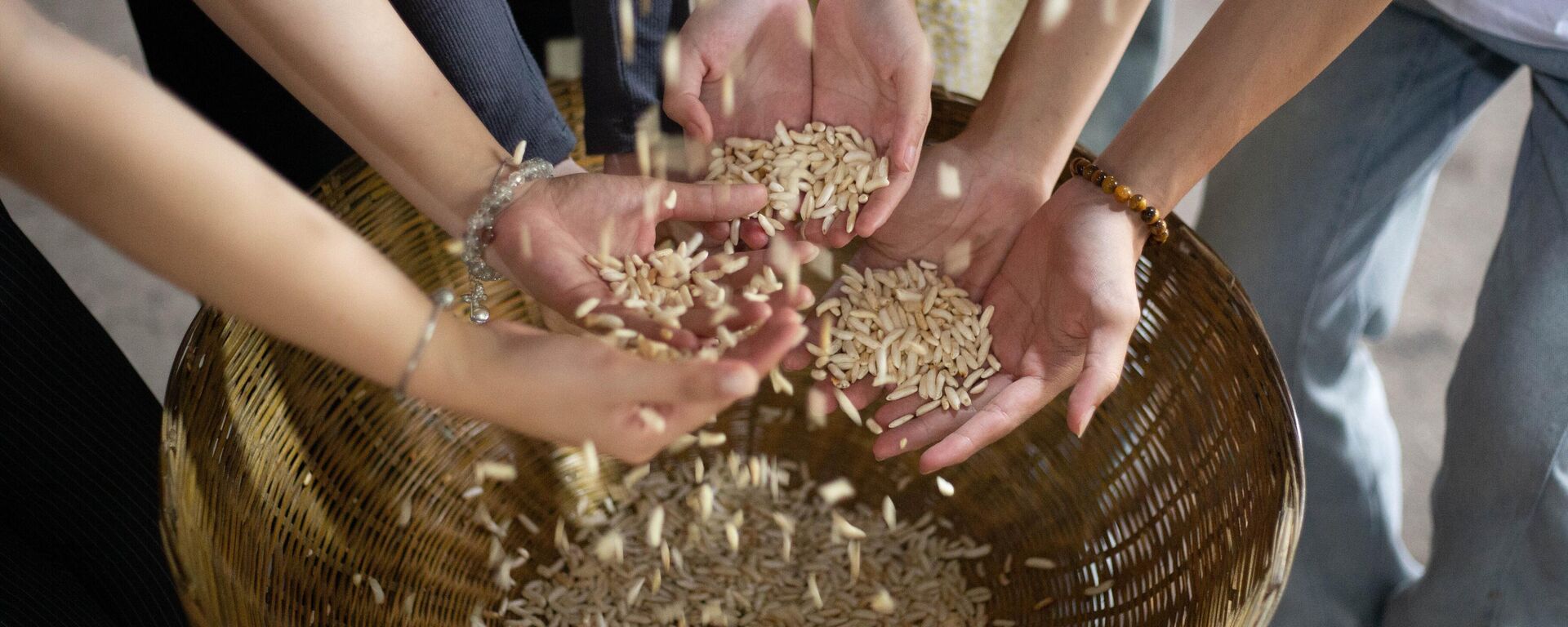 Những hạt cốm gạo
 - Sputnik Việt Nam, 1920, 05.09.2025