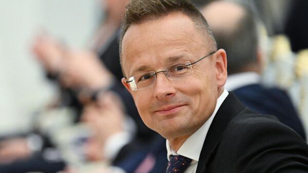 Ngoại trưởng Hungary Peter Szijjarto - Sputnik Việt Nam