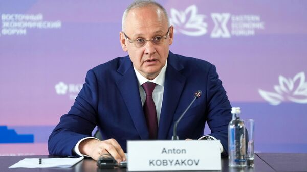 Anton Kobyakov, Cố vấn của Tổng thống Liên bang Nga, Thư ký điều hành Ban tổ chức EEF Anton Kobyakov, Cố vấn của Tổng thống Liên bang Nga, Thư ký điều hành Ban tổ chức EEF - Sputnik Việt Nam