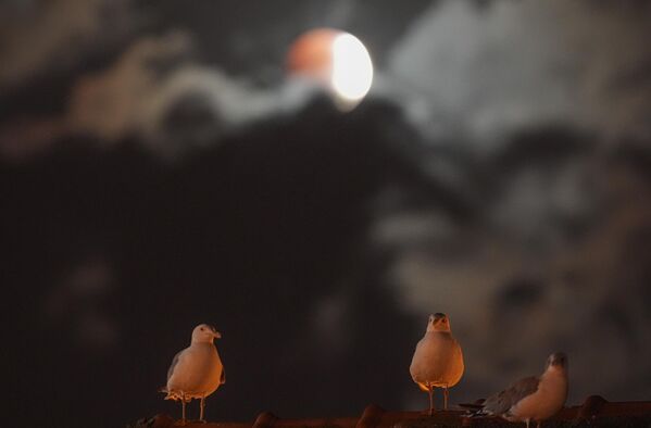 Nguyệt thực toàn phần tại Thổ Nhĩ Kỳ - Sputnik Việt Nam