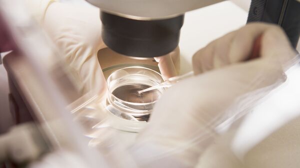 Thụ tinh trong ống nghiệm - Sputnik Việt Nam