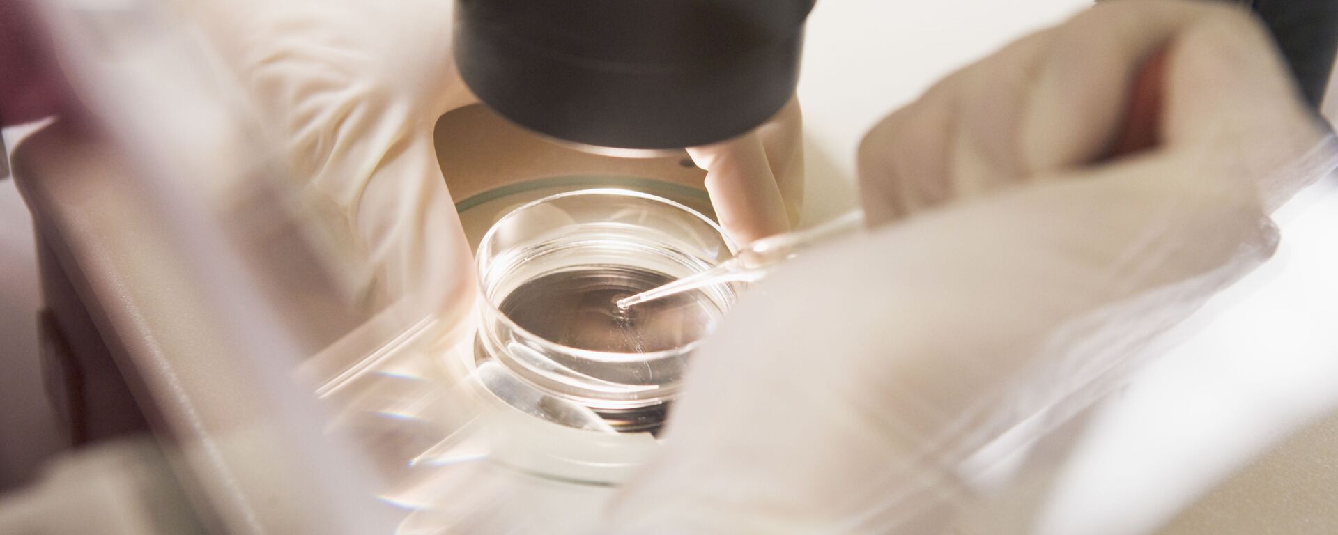 Thụ tinh trong ống nghiệm - Sputnik Việt Nam, 1920, 09.09.2025