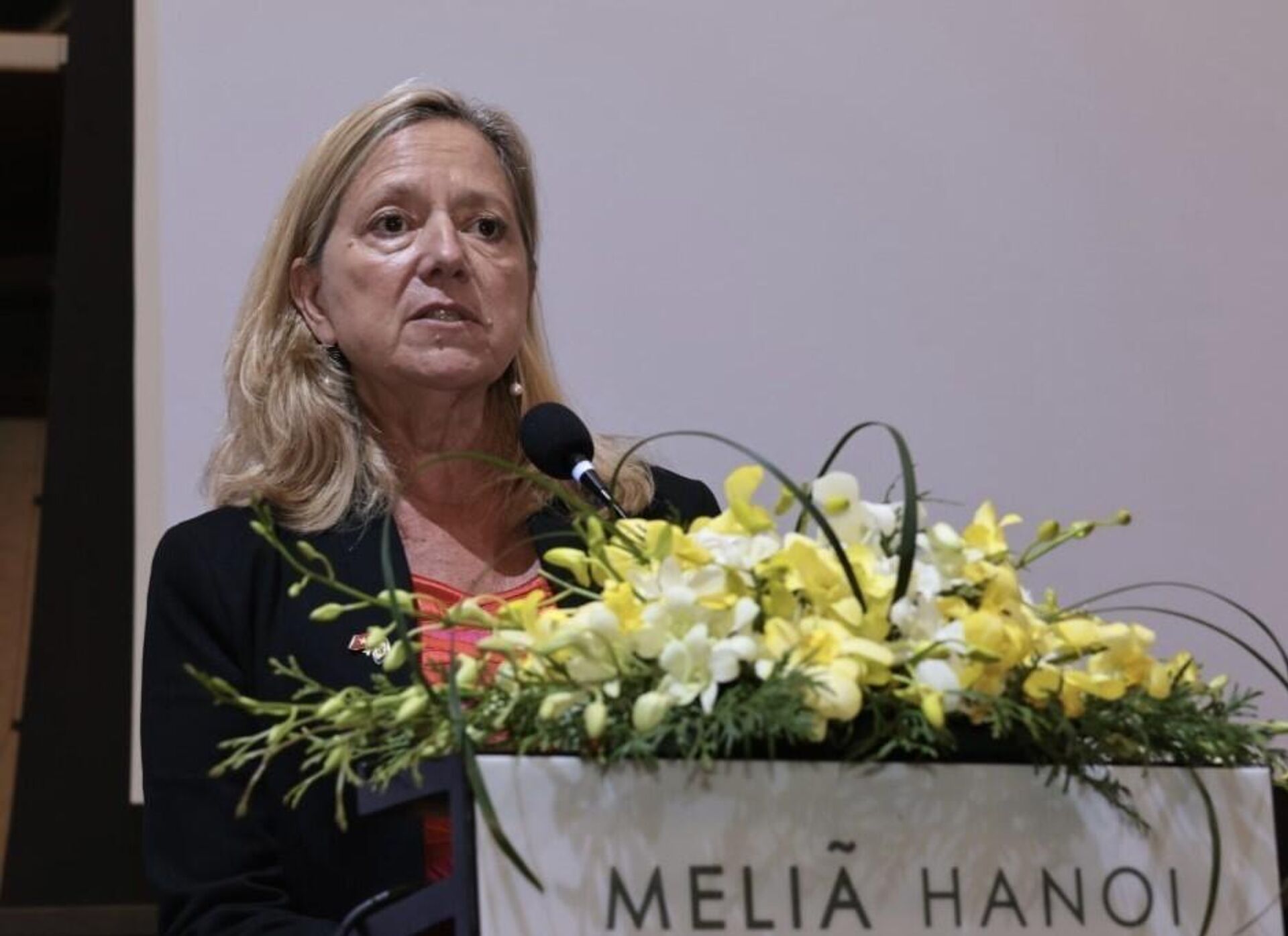 Bà Mariam J. Sherman, Giám đốc WB tại Việt Nam, Campuchia và Lào chia sẻ Bà Mariam J. Sherman, Giám đốc WB tại Việt Nam, Campuchia và Lào chia sẻ - Sputnik Việt Nam, 1920, 08.09.2025