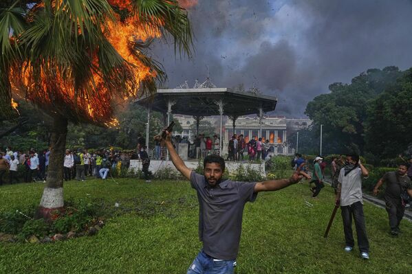 Cây cọ bốc cháy trong thời gian diễn ra biểu tình ở Nepal - Sputnik Việt Nam