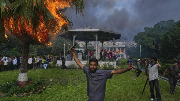 Cây cọ bốc cháy trong thời gian diễn ra biểu tình ở Nepal - Sputnik Việt Nam