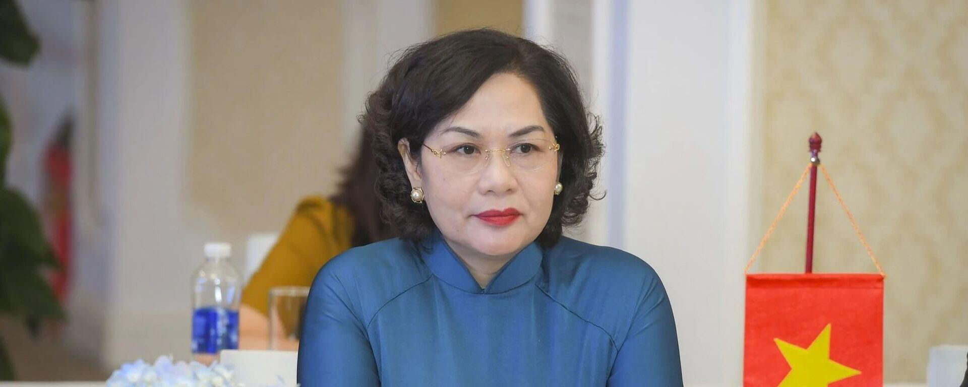 Thống đốc Ngân hàng Nhà nước Nguyễn Thị Hồng - Sputnik Việt Nam, 1920, 01.04.2026