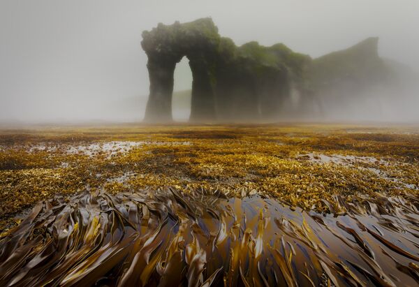 Ảnh &quot;Những mái vòm bí ẩn của đảo Simushir&quot; của nhiếp ảnh gia Alexander Lavrentyev, đoạt giải hạng mục &quot;Phong cảnh&quot; cuộc thi ảnh &quot;Đẹp nhất&quot; &quot;Quê hương&quot; lần thứ 11 - Sputnik Việt Nam