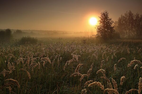 &quot;Buổi sáng sương mù&quot; của nhiếp ảnh gia Sergey Telnyuk, chiến thắng hạng mục &quot;Phong cảnh&quot; cuộc thi ảnh &quot;Quê hương đẹp nhất qua con mắt trẻ thơ&quot; lần thứ 11 - Sputnik Việt Nam