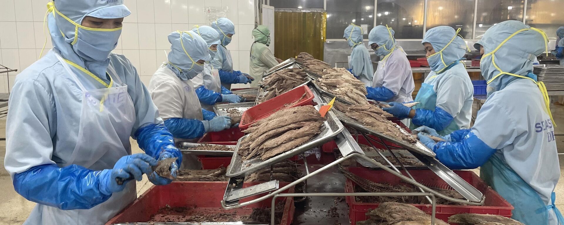 Thủy sản Việt Nam cần thay đổi tư duy để chinh phục thị trường nội địa
 - Sputnik Việt Nam, 1920, 12.09.2025