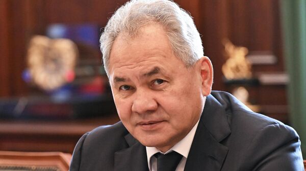 Đây là cuộc gặp giữa Thư ký Hội đồng An ninh LB Nga S. Shoigu và Tổng thống Cộng hòa Srpska M. Dodik - Sputnik Việt Nam