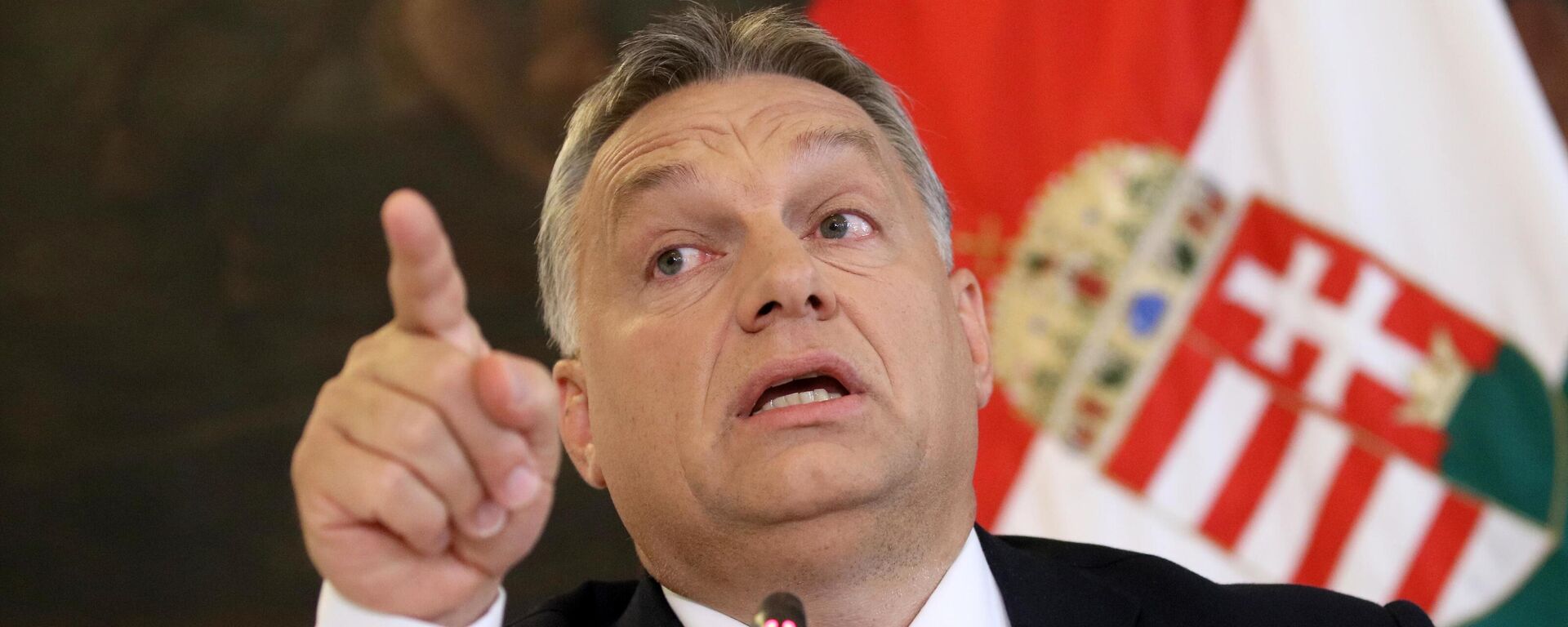 Thủ tướng Hungary Viktor Orban - Sputnik Việt Nam, 1920, 03.10.2025