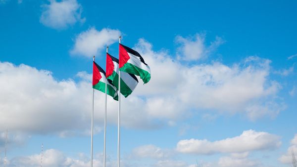 Cờ Palestine - Sputnik Việt Nam