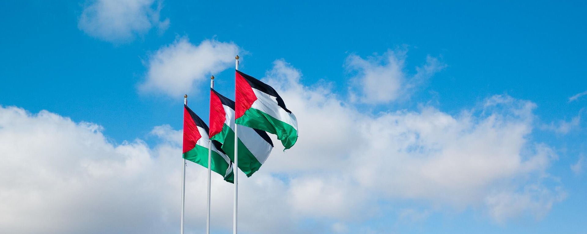 Cờ Palestine - Sputnik Việt Nam, 1920, 29.07.2026