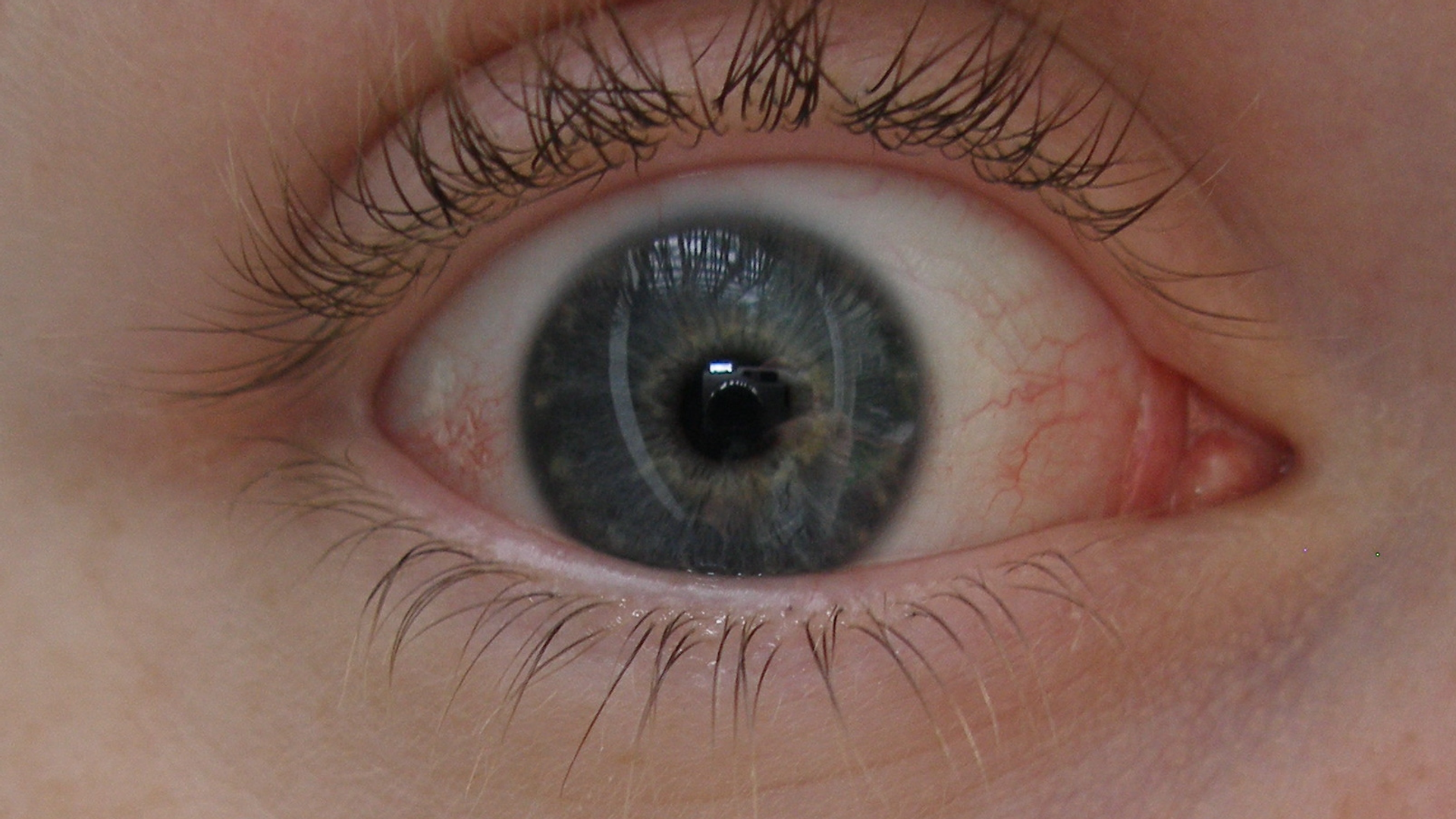 Mắt Mắt - Sputnik Việt Nam, 1920, 22.09.2025