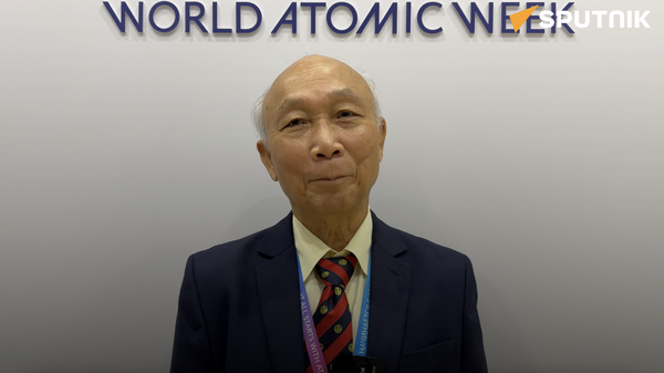 Thượng nghị sĩ Thái Lan: Mục đích chuyến thăm tới Nga là tìm giải pháp cho ngành năng lượng quốc gia - Sputnik Việt Nam