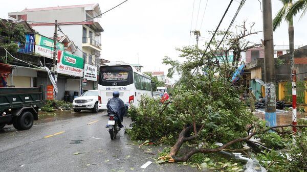 Ảnh hưởng của mưa bão và dông lốc khiến nhiều cây cối tại tổ dân phố 4, xã Yên Khánh bị đổ
 - Sputnik Việt Nam