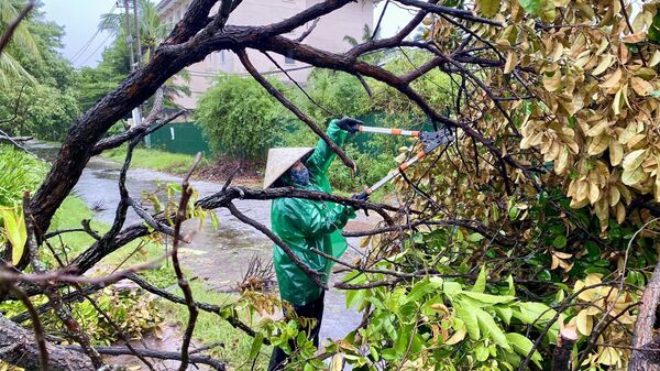 Người phụ nữ dọn dẹp cây gãy sau bão Bualoi ở Quảng Trị, Việt Nam - Sputnik Việt Nam
