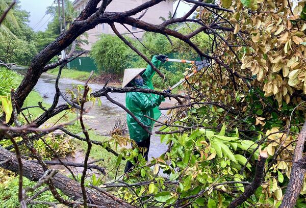 Người phụ nữ dọn dẹp cây gãy sau bão Bualoi ở Quảng Trị, Việt Nam - Sputnik Việt Nam