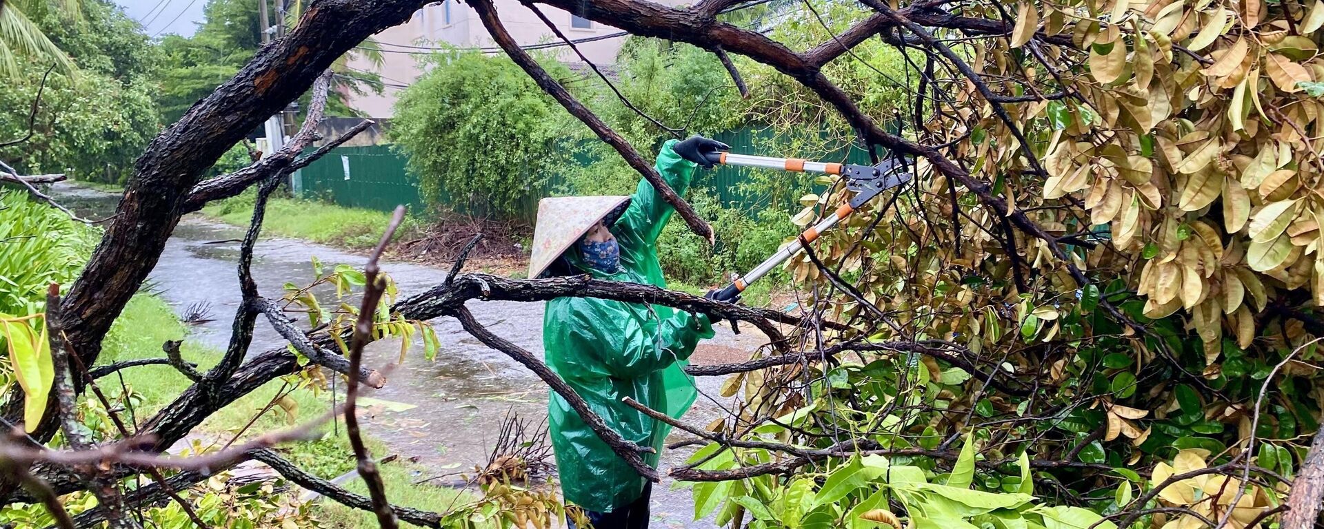 Người phụ nữ dọn dẹp cây gãy sau bão Bualoi ở Quảng Trị, Việt Nam - Sputnik Việt Nam, 1920, 20.10.2025