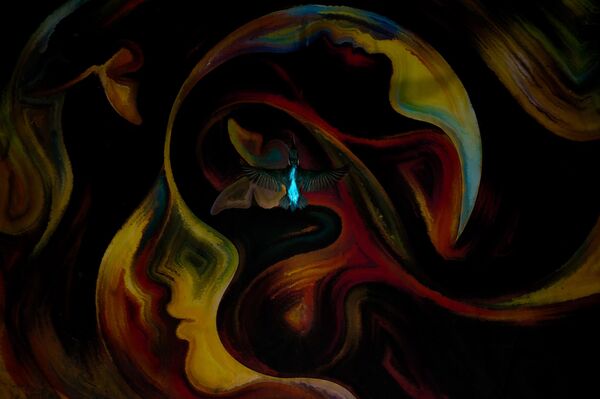 "Nghệ thuật Nhiếp ảnh" của nhiếp ảnh gia Ý Philipp Egger đã giành giải nhất hạng mục góc nhìn sáng tạo, cuộc thi Bird Photographer of the Year 2025 "Nghệ thuật Nhiếp ảnh" của nhiếp ảnh gia Ý Philipp Egger đã giành giải nhất hạng mục góc nhìn sáng tạo, cuộc thi Bird Photographer of the Year 2025 - Sputnik Việt Nam