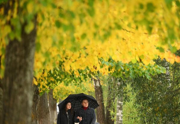 Người tản bộ thư thái trong công viên ở thị trấn Plyos - Sputnik Việt Nam